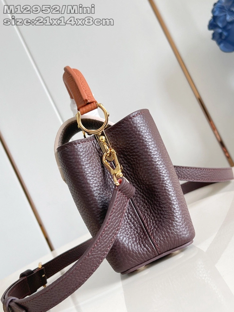 Fashionable LX Caxucines Bags 609