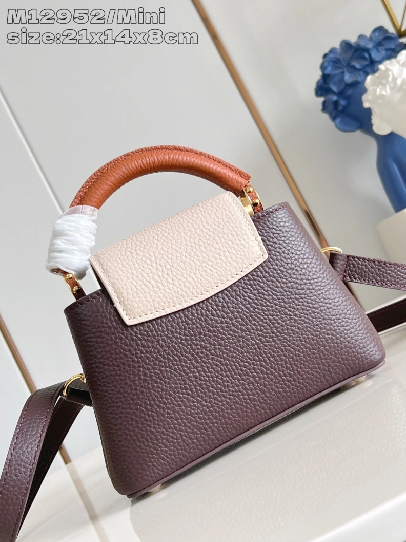 Fashionable LX Caxucines Bags 609