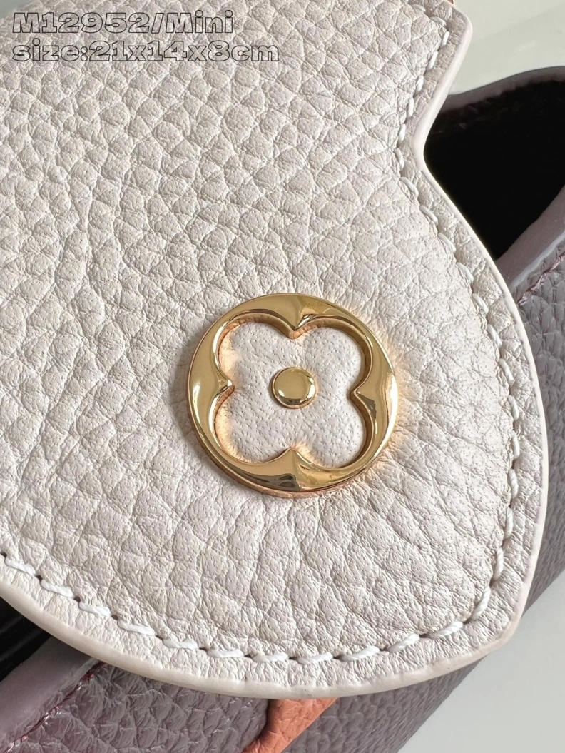 Fashionable LX Caxucines Bags 609