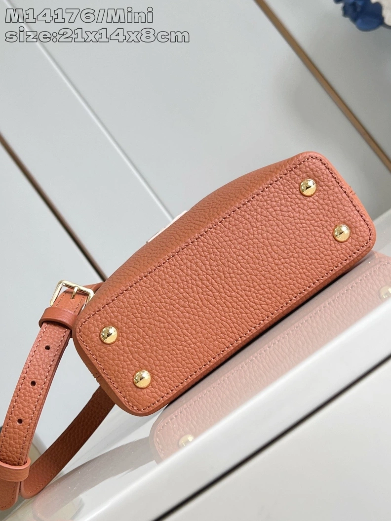 WellDesigned LX Caxucines Bags 605
