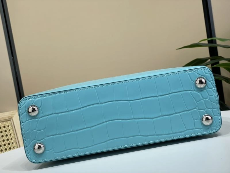Sleek LX Caxucines Bags 6541