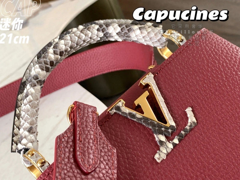 LX Caxucines Bags SmartChoice 6200