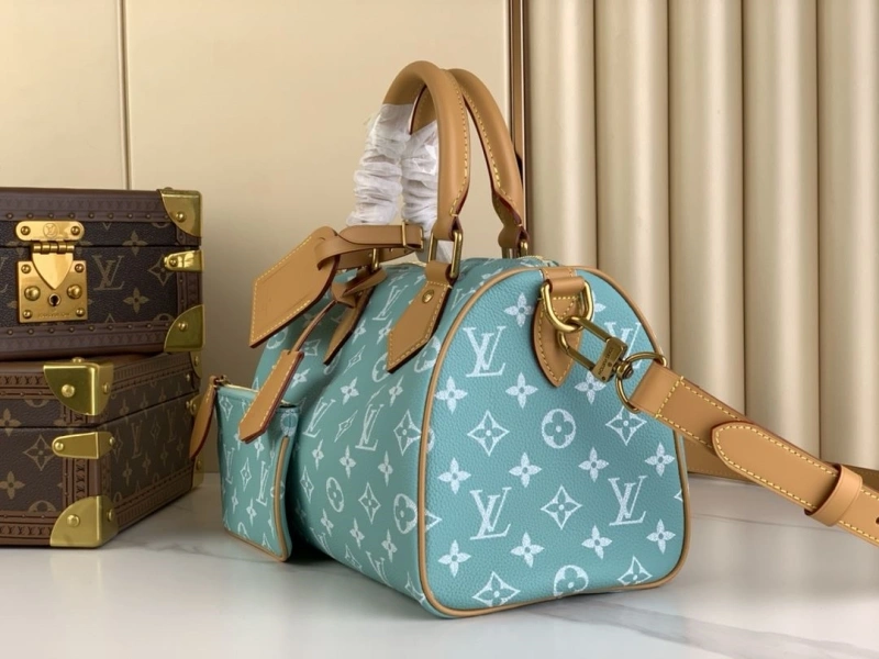 LX Speedy Bags EyeCatching 5234