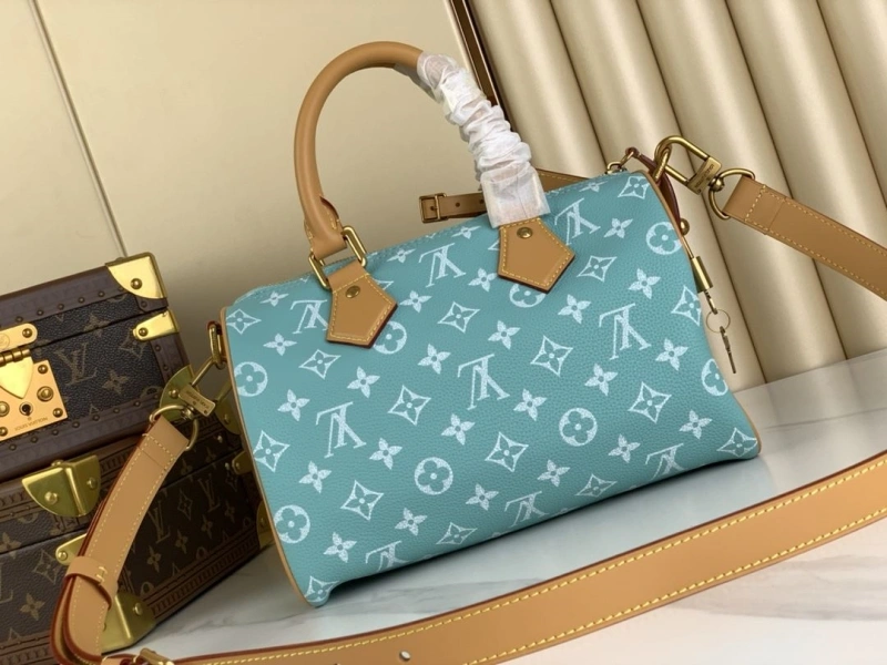 LX Speedy Bags EyeCatching 5234