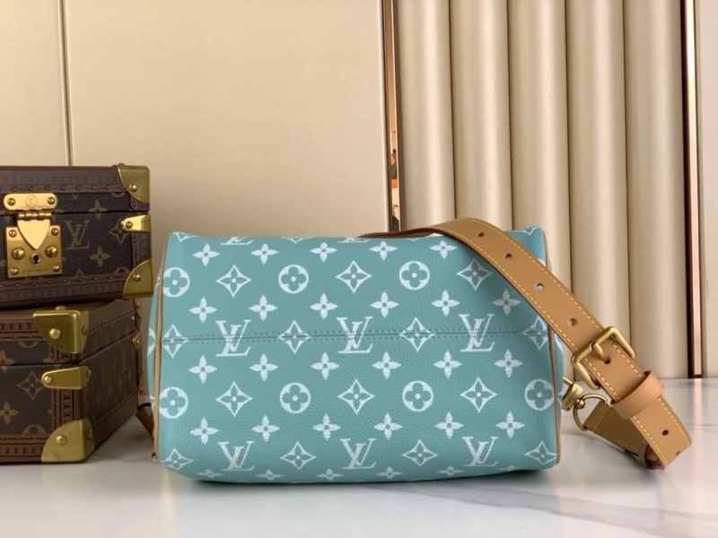LX Speedy Bags EyeCatching 5234
