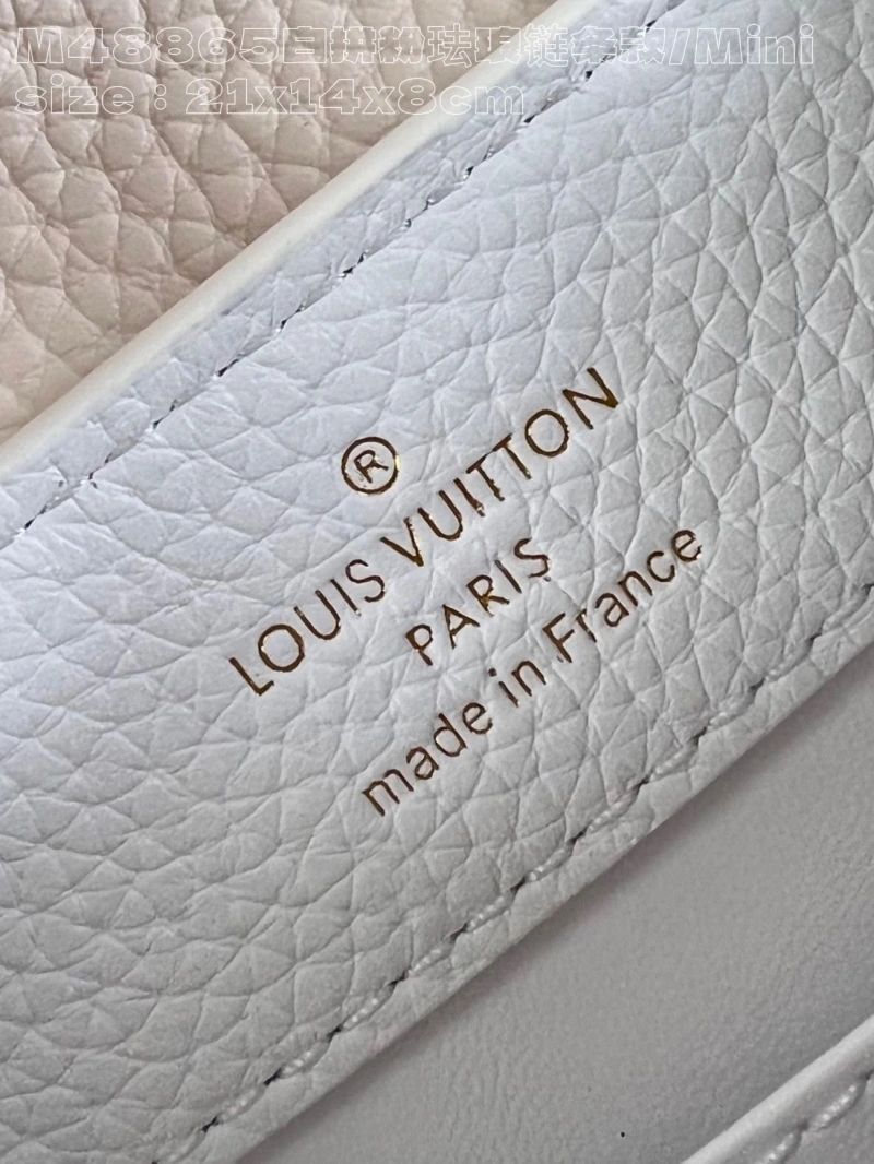 Stylish LX Caxucines Bags 3991
