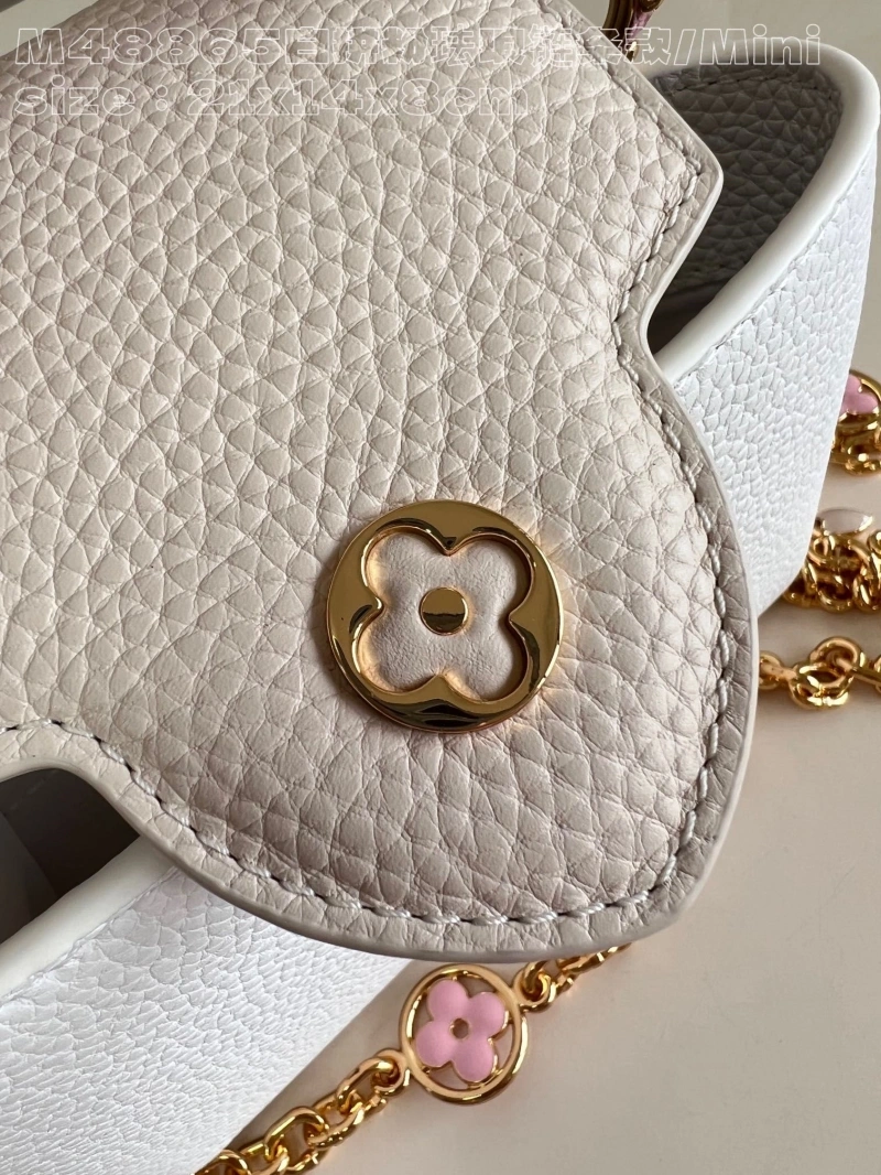 Stylish LX Caxucines Bags 3991