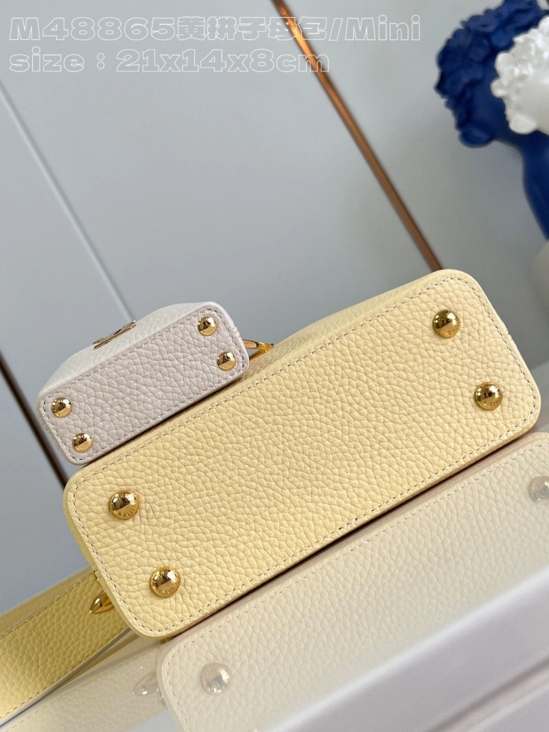 LX Caxucines Bags BestValue 3995