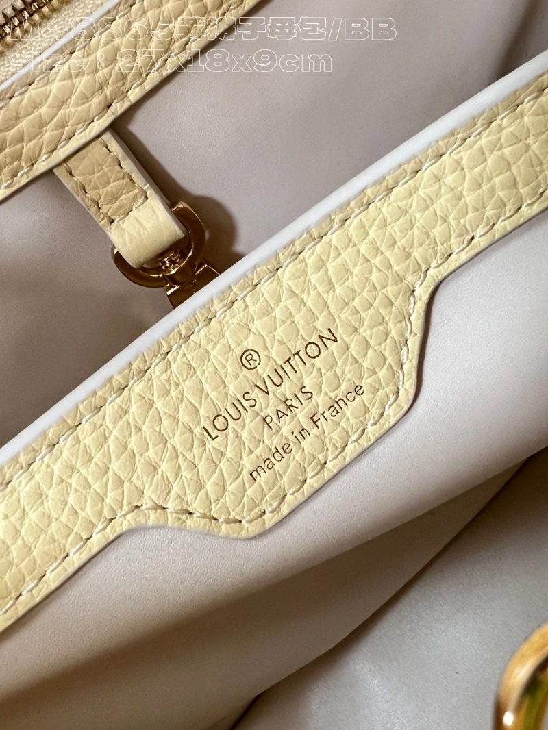 Fashionable LX Caxucines Bags 3998