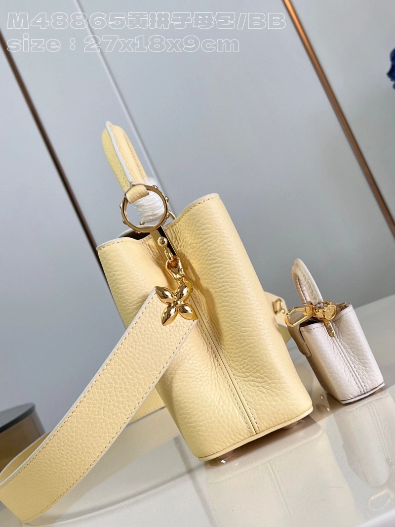Fashionable LX Caxucines Bags 3998