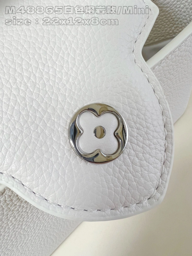 Trendy LX Caxucines Bags 4021