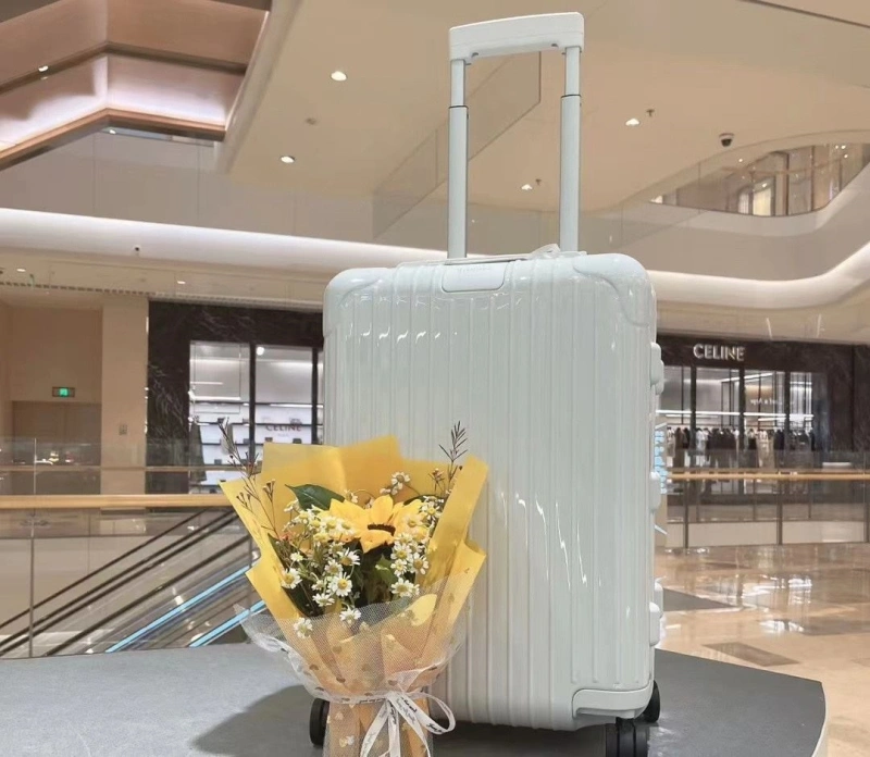 Versatile Rxmxwa Suitcase 25540