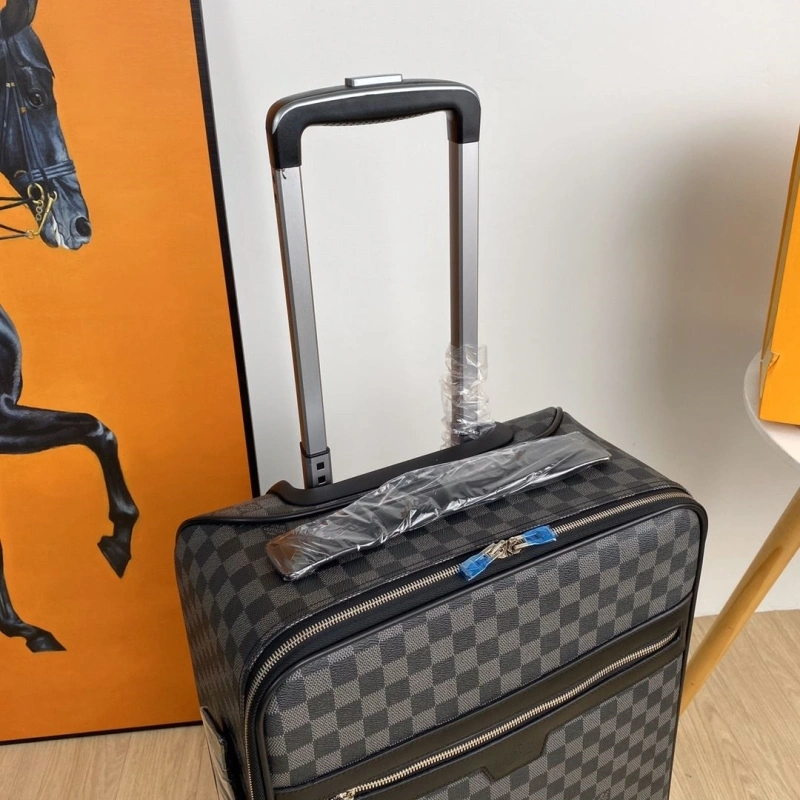GoAnywhere LX Suitcase 25684