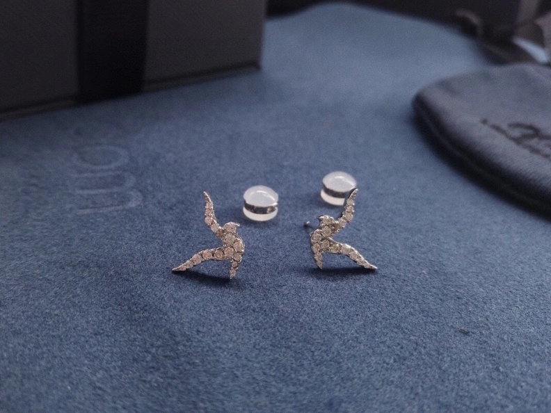 UrbanStyle Axm Earrings 281473