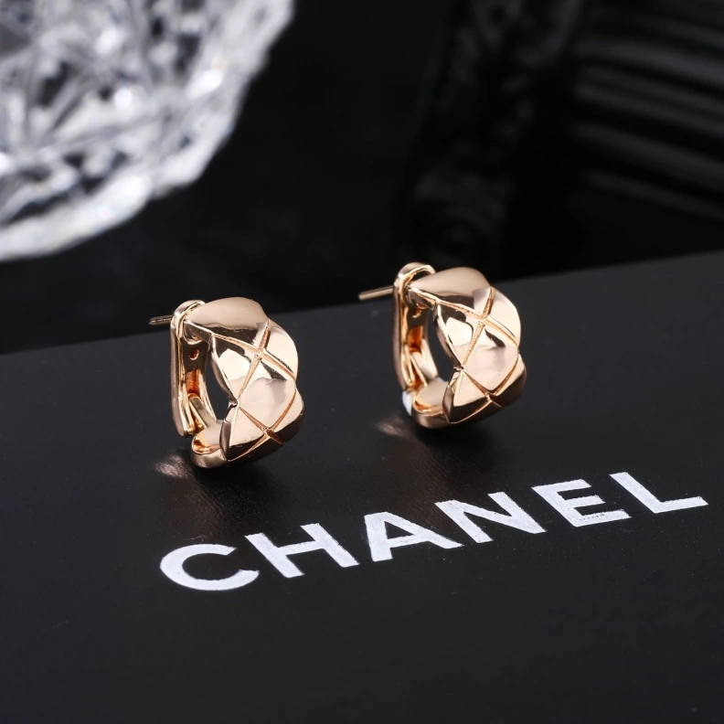 Practical Chxnxl Earrings 287701