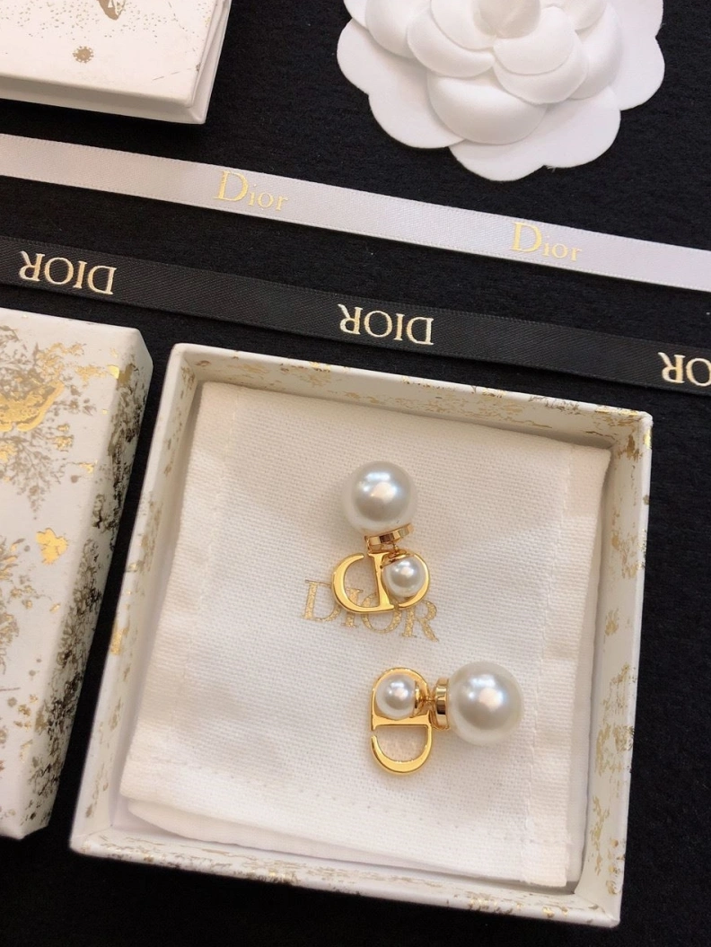Christian Dxxr Earrings Practical 294565