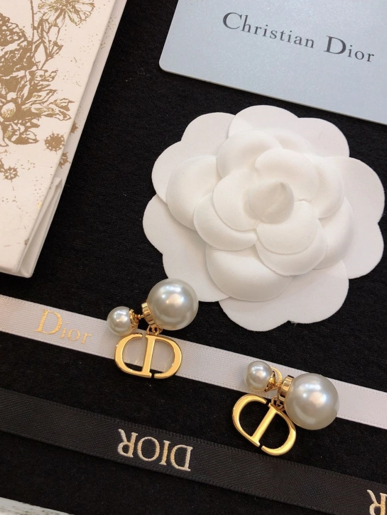 Christian Dxxr Earrings Practical 294565