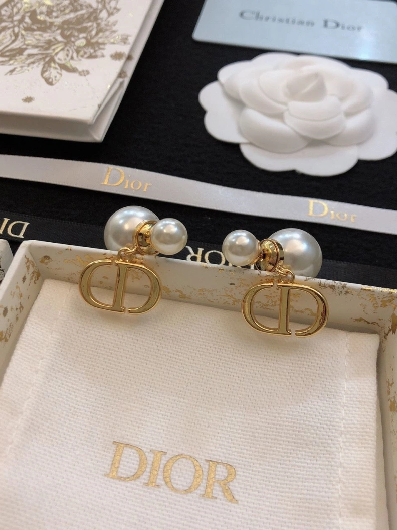 Christian Dxxr Earrings Practical 294565