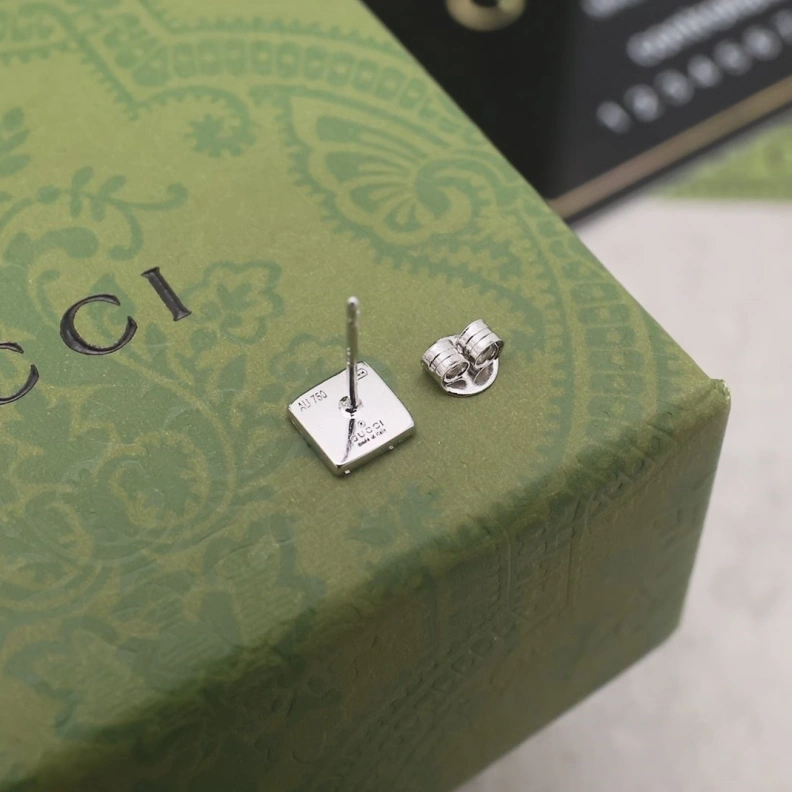 DailyWear Gxccx Earrings 303198