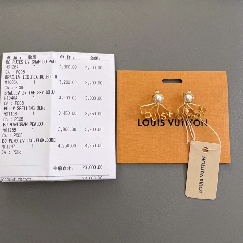 Practical LX Earrings 309473