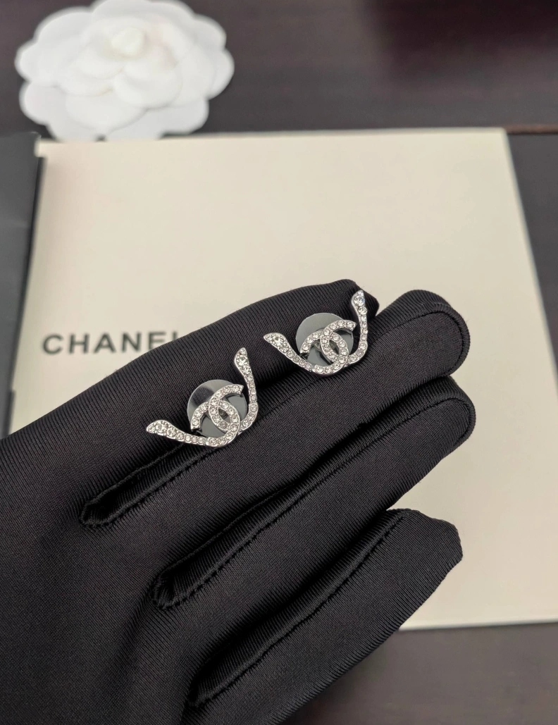 SmartChoice Chxnxl Earrings 287579