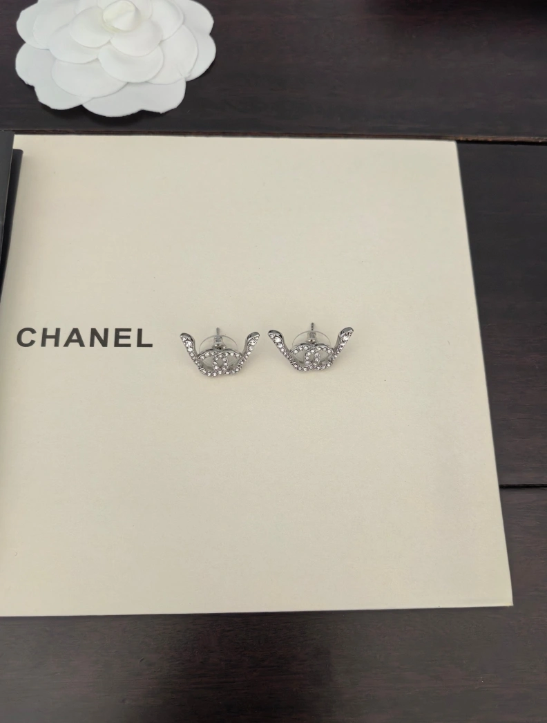 SmartChoice Chxnxl Earrings 287579