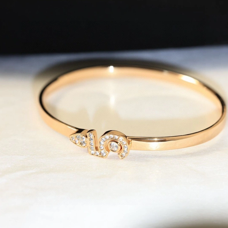 DailyWear Chxnxl Bracelets 284748