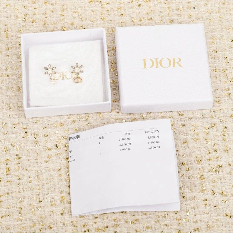 Christian Dxxr Earrings Classic 293964