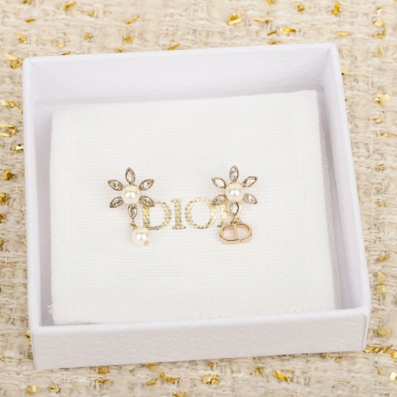 Christian Dxxr Earrings Classic 293964