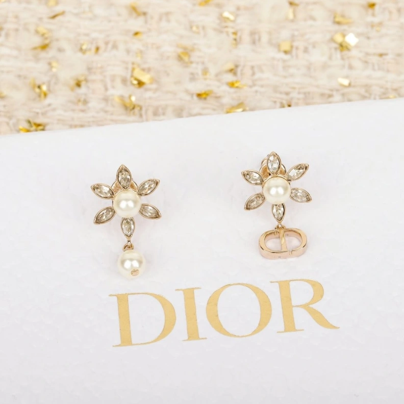 Christian Dxxr Earrings Classic 293964