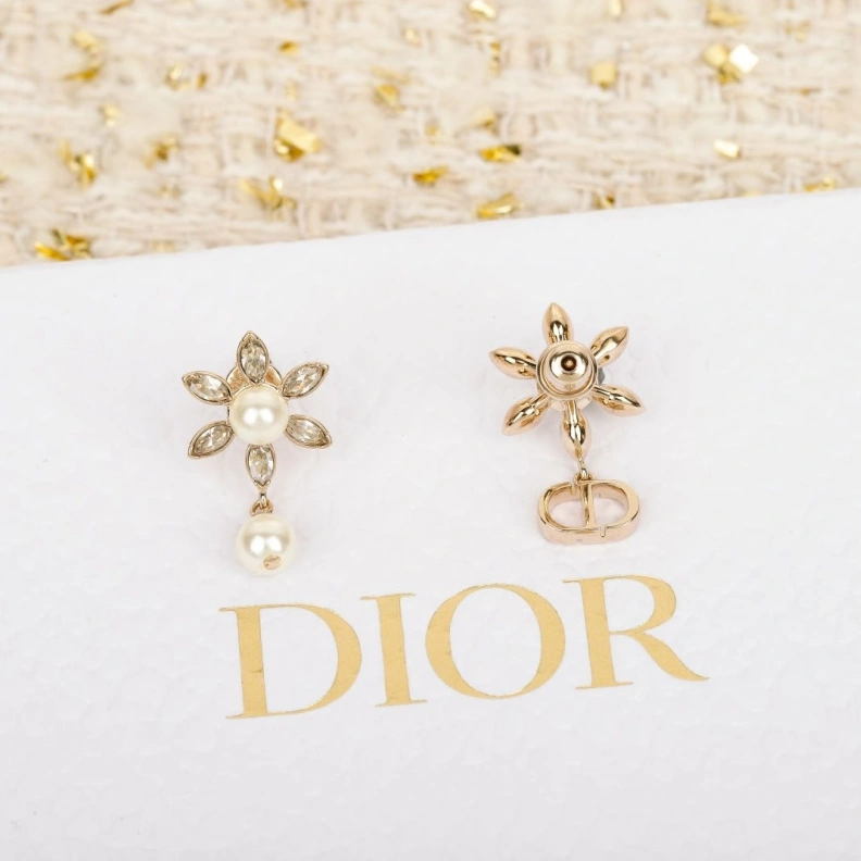 Christian Dxxr Earrings Classic 293964