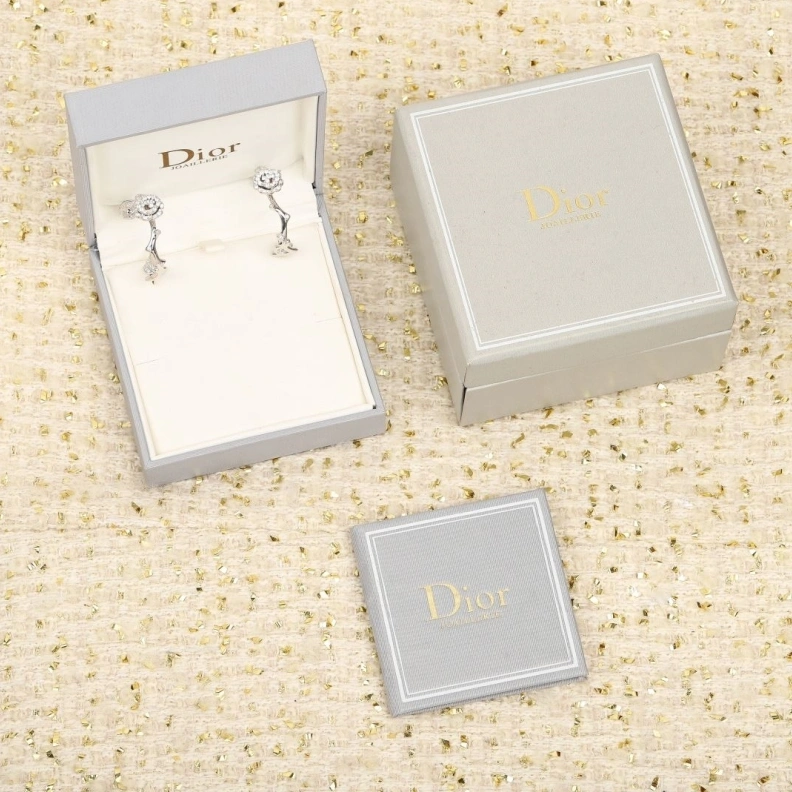 Vibrant Christian Dxxr Earrings 293963