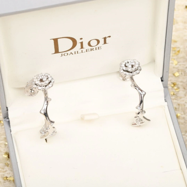 Vibrant Christian Dxxr Earrings 293963