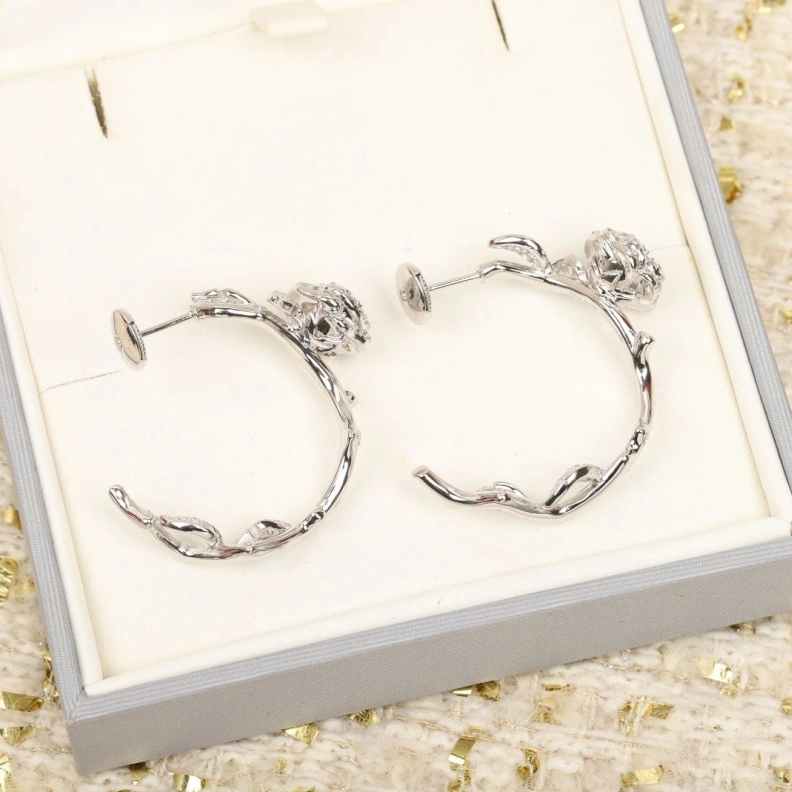 Vibrant Christian Dxxr Earrings 293963