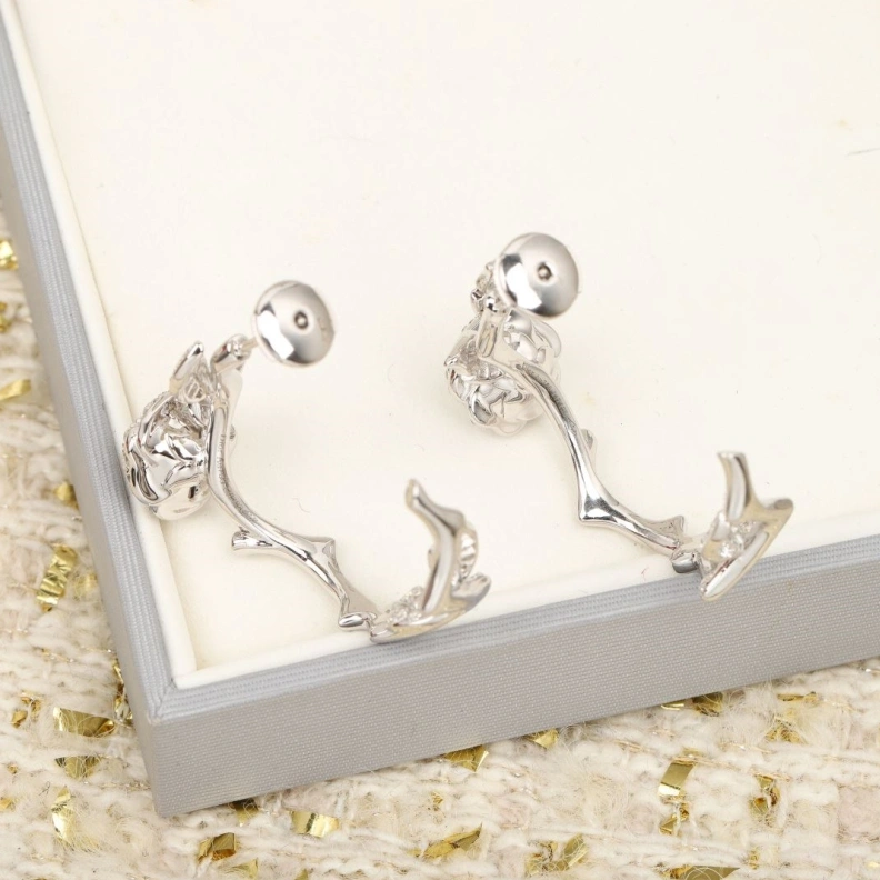 Vibrant Christian Dxxr Earrings 293963