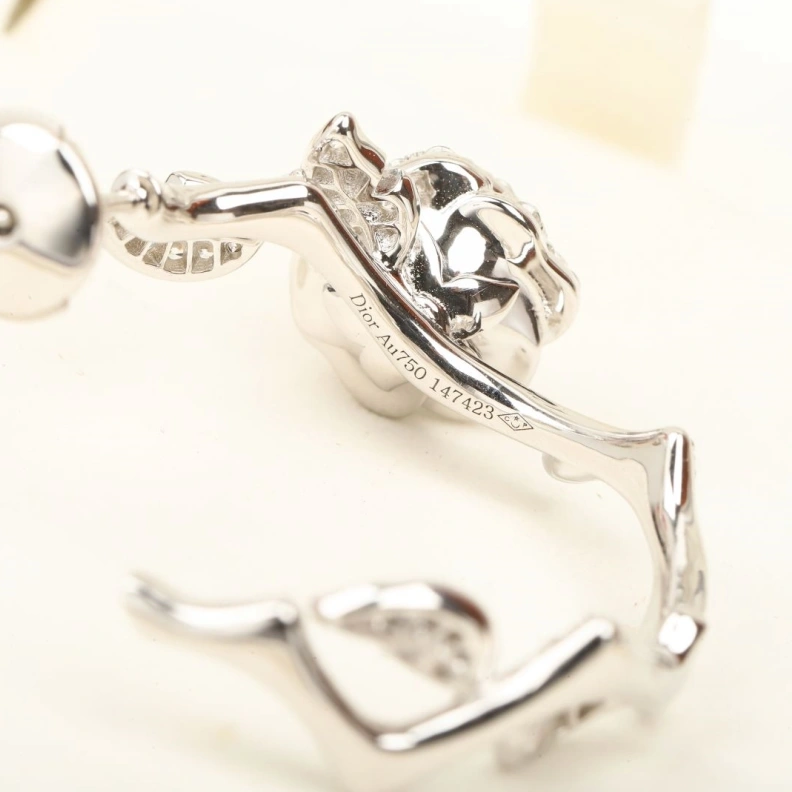 Vibrant Christian Dxxr Earrings 293963