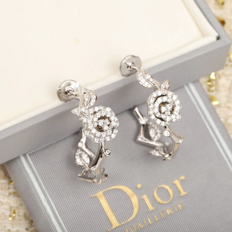 Vibrant Christian Dxxr Earrings 293963