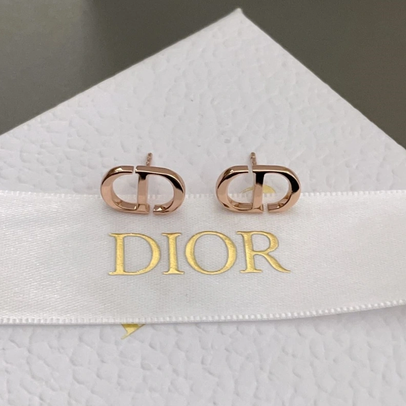 Christian Dxxr Earrings Vibrant 293948