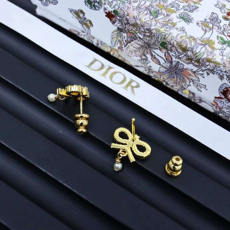Christian Dxxr Earrings EyeCatching 293945