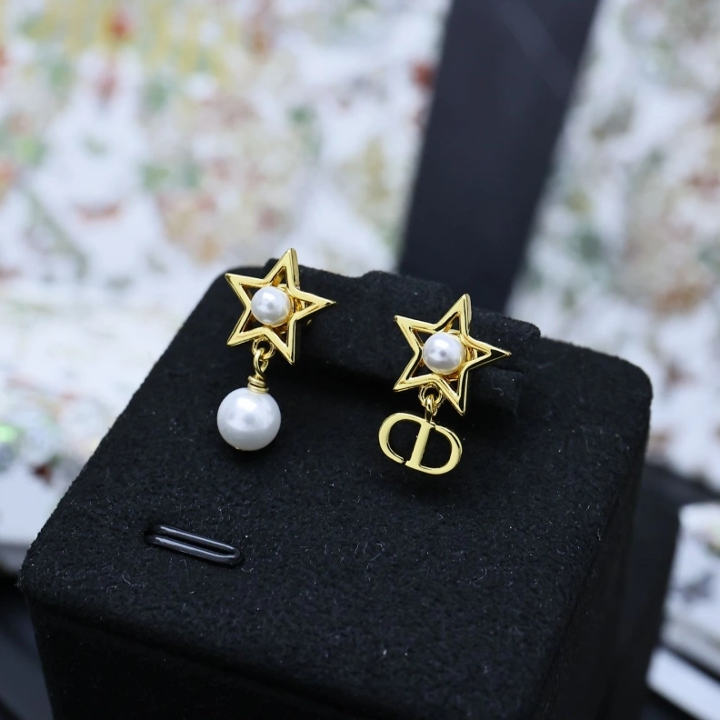 Christian Dxxr Earrings Sleek 293944