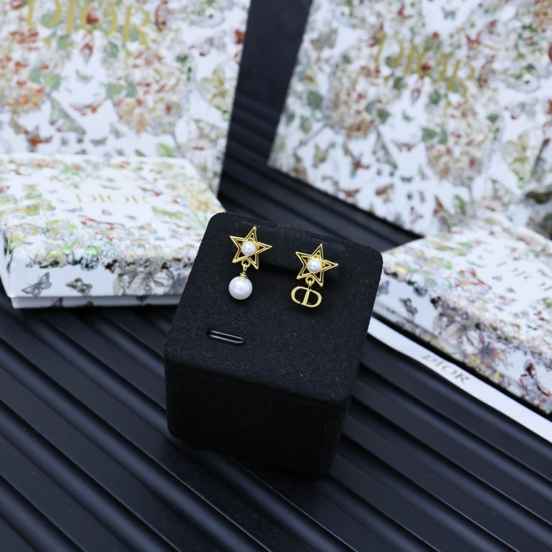 Christian Dxxr Earrings Sleek 293944