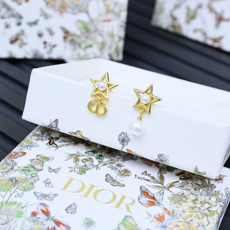 Christian Dxxr Earrings Sleek 293944