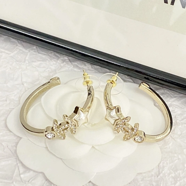 SmartChoice Chxnxl Earrings 284544