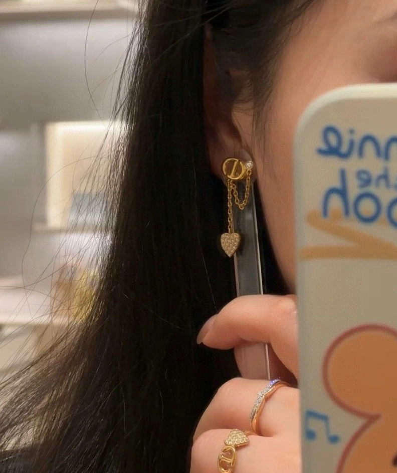 Christian Dxxr Earrings Elegant 293940