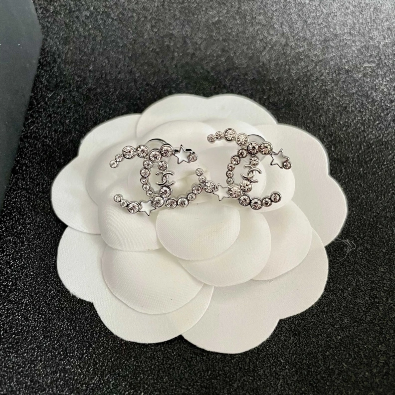 Durable Chxnxl Earrings 284472