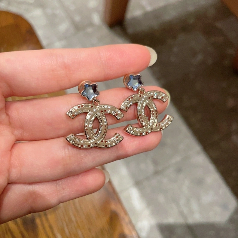 Chxnxl Earrings Elegant 284468