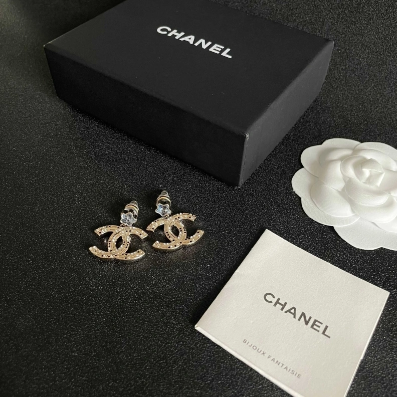 Chxnxl Earrings Elegant 284468