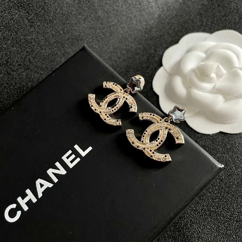 Chxnxl Earrings Elegant 284468