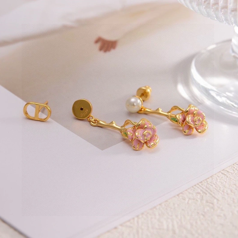 Christian Dxxr Earrings Affordable 293915