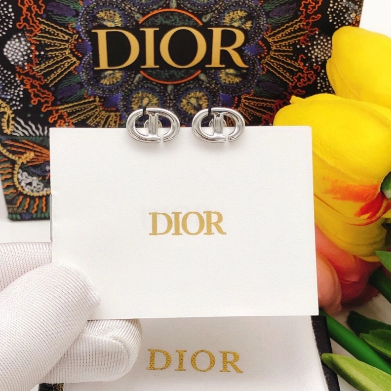 Christian Dxxr Earrings Soft 293917